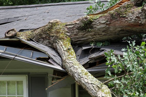 Cost of Storm Remediation in Van Nuys