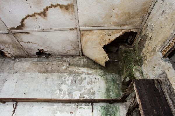 Water Damage Service in Van Nuys