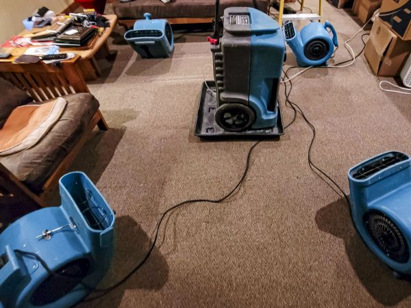 Cost of Flood Damage Recovery in Van Nuys