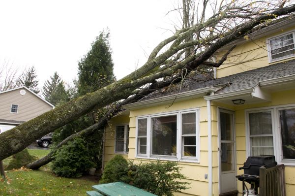 Hurricane Damage Repair in Van Nuys